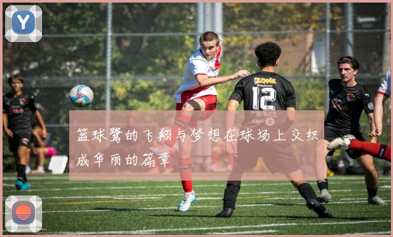 篮球鹭的飞翔与梦想在球场上交织成华丽的篇章