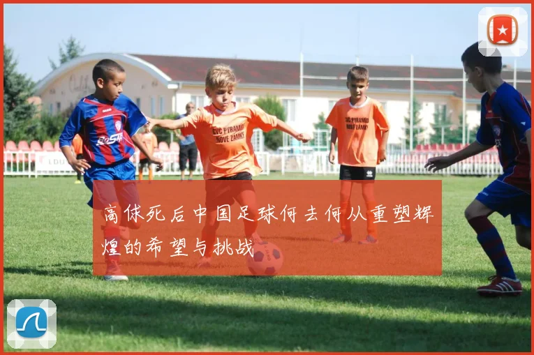 高俅死后中国足球何去何从重塑辉煌的希望与挑战