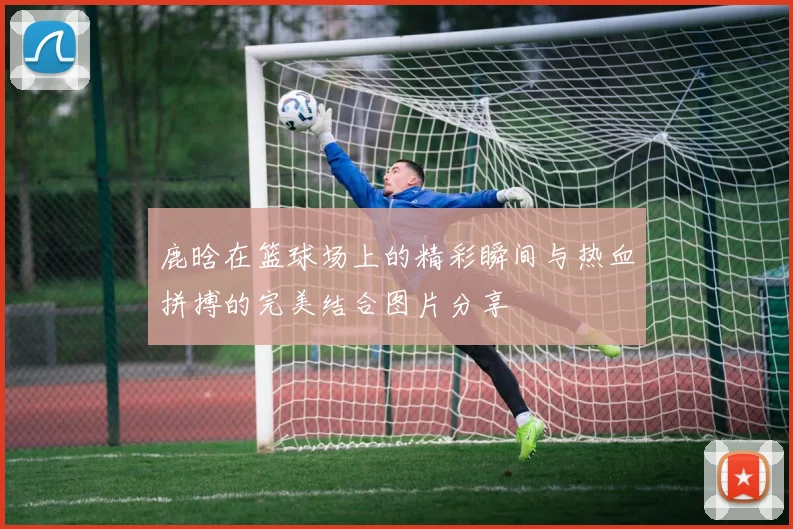 鹿晗在篮球场上的精彩瞬间与热血拼搏的完美结合图片分享